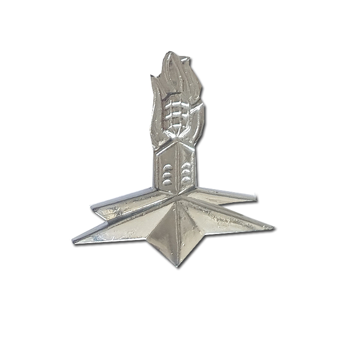 Border Police School pin