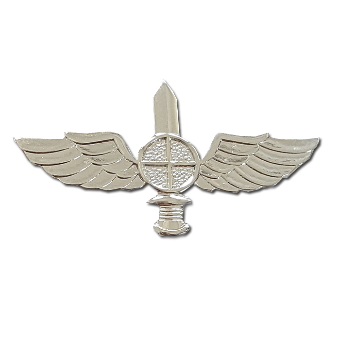 35th Paratroopers Tank Hunters Company  - Orev Pin.